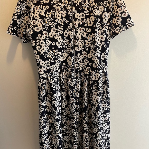 LulaRoe dress. Stretchy fabric and zipper back. - Picture 1 of 2